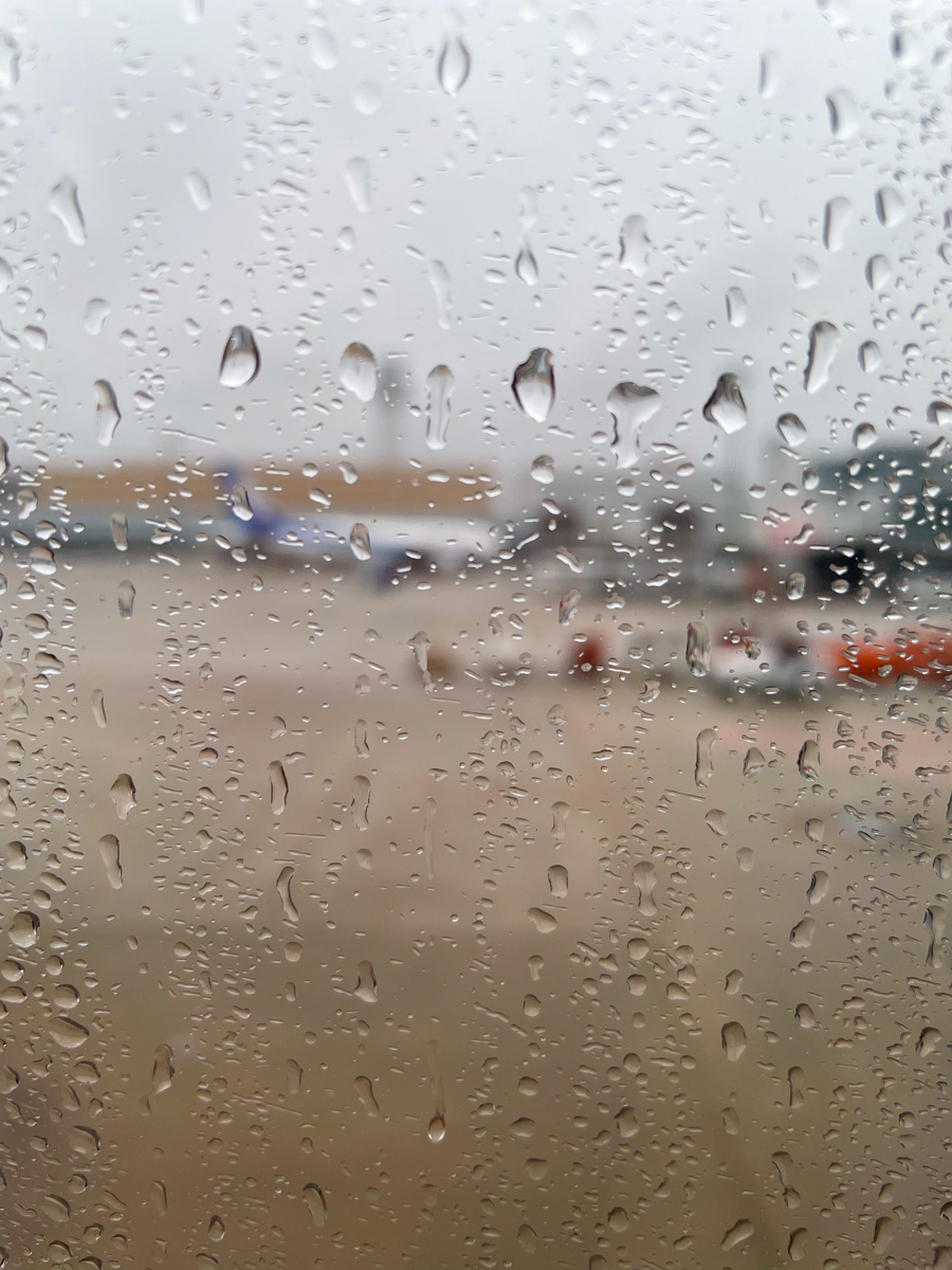 f:id:kisokoji:20210605051304j:plain