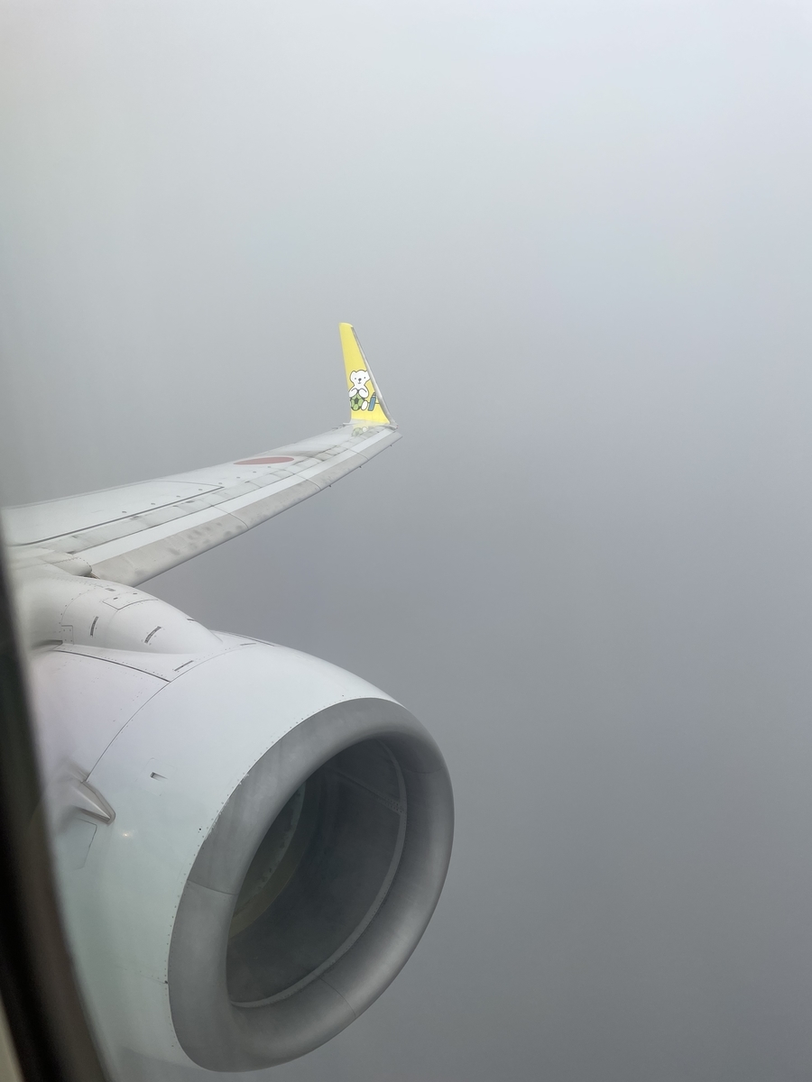 f:id:kisokoji:20210605051558j:plain:h500