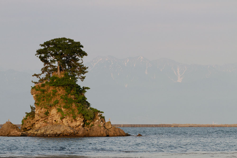 f:id:kisokoji:20210621212304j:plain:w500