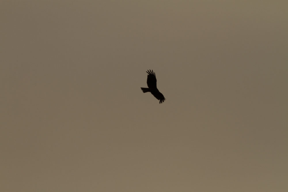 f:id:kisokoji:20210624213545j:plain:w500