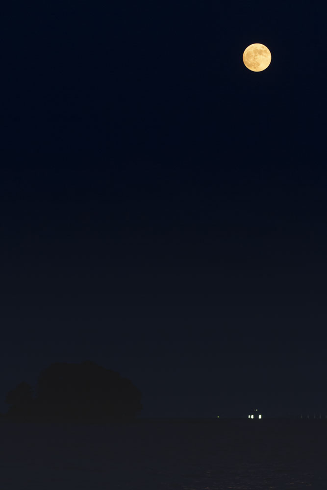 f:id:kisokoji:20210624214213j:plain:h500