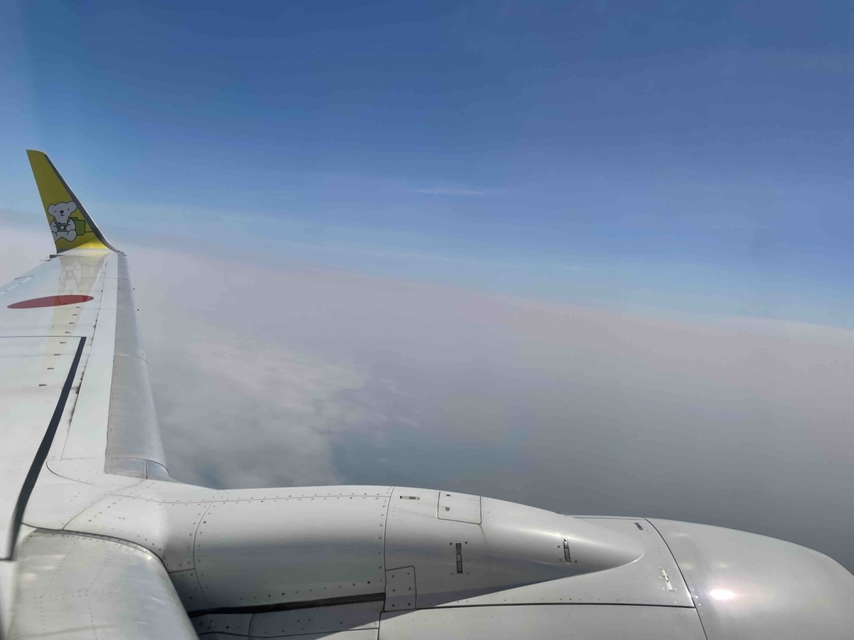 f:id:kisokoji:20210723144123j:plain:w500