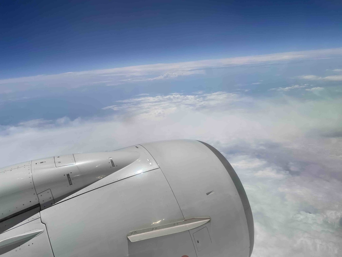 f:id:kisokoji:20210723144211j:plain:w500