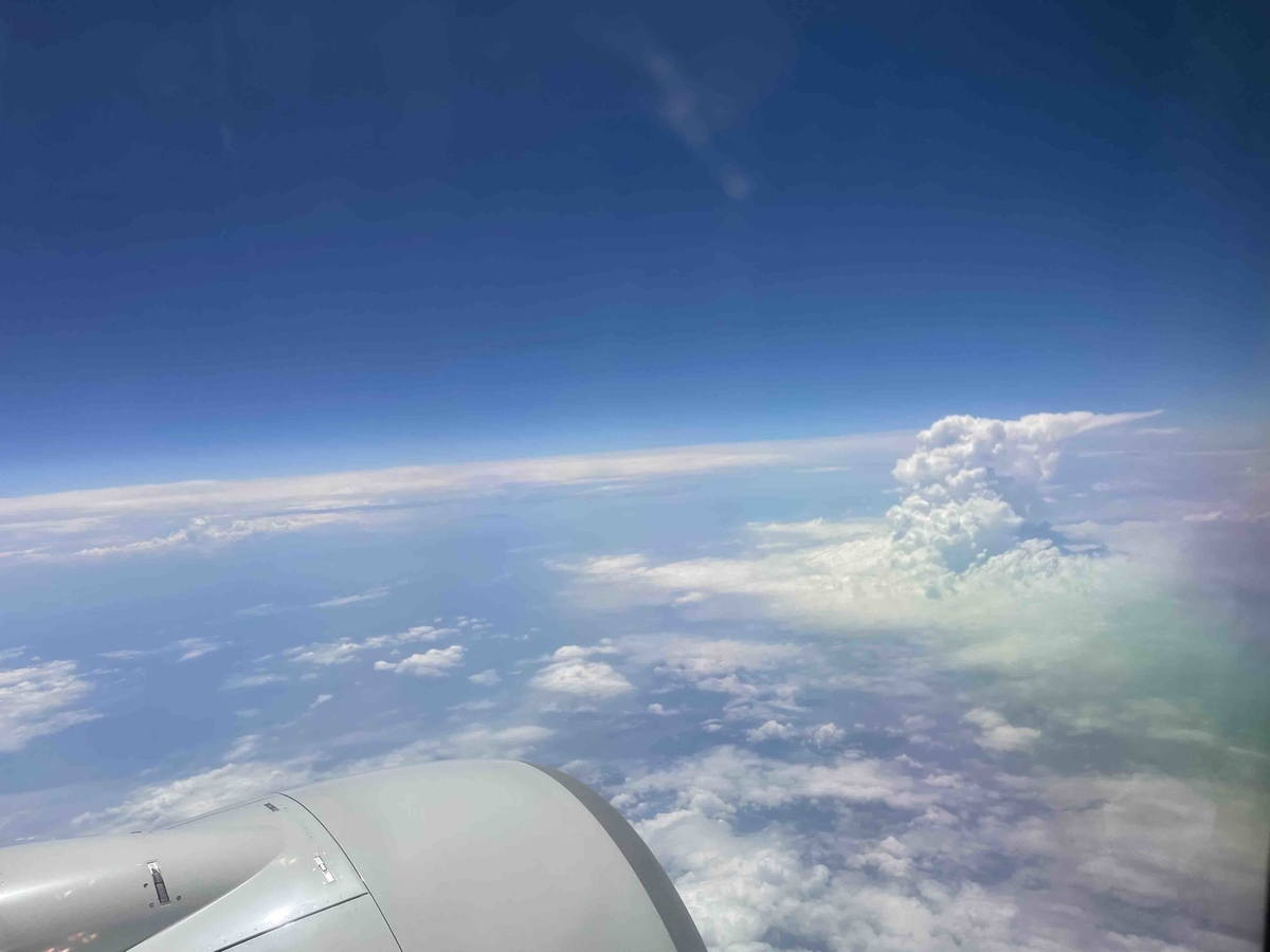 f:id:kisokoji:20210723144254j:plain:w500