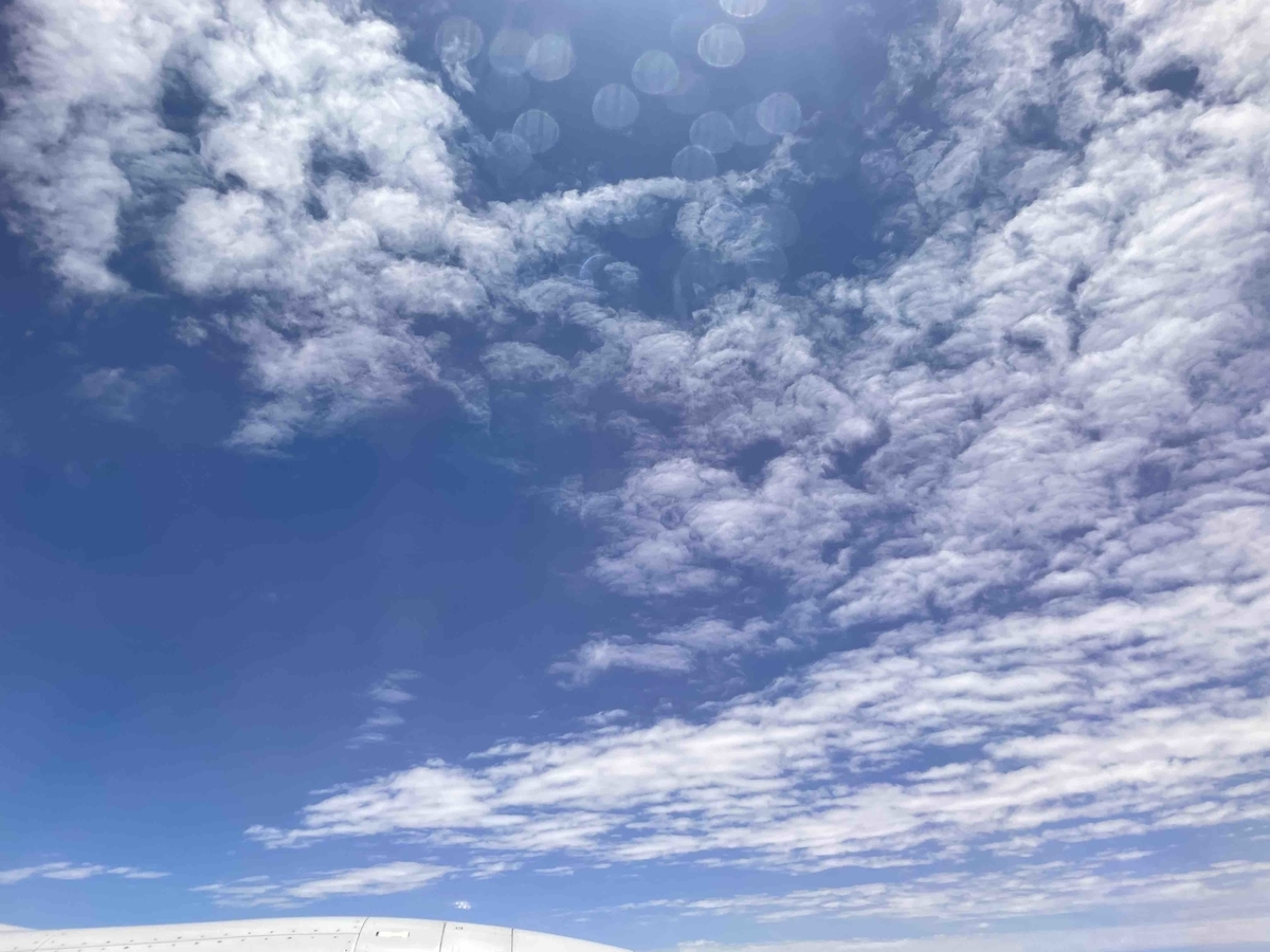 f:id:kisokoji:20210723144526j:plain:w500