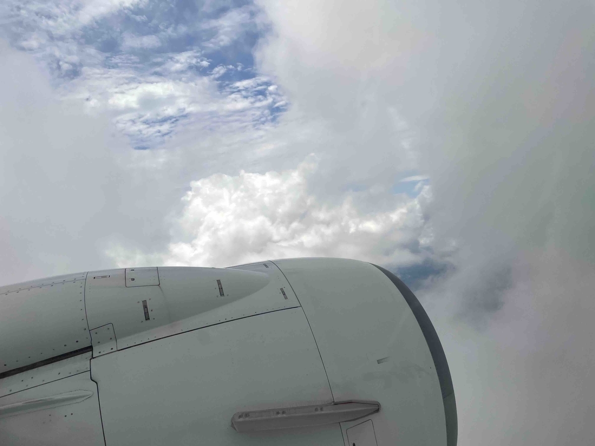 f:id:kisokoji:20210723144637j:plain:w500