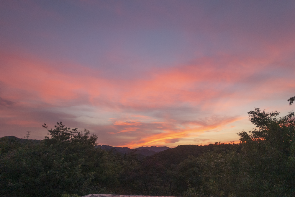 f:id:kisokoji:20210805204333p:plain:w500