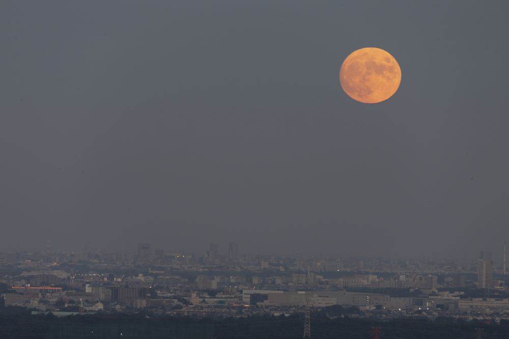 f:id:kisokoji:20210921194937p:plain:w500