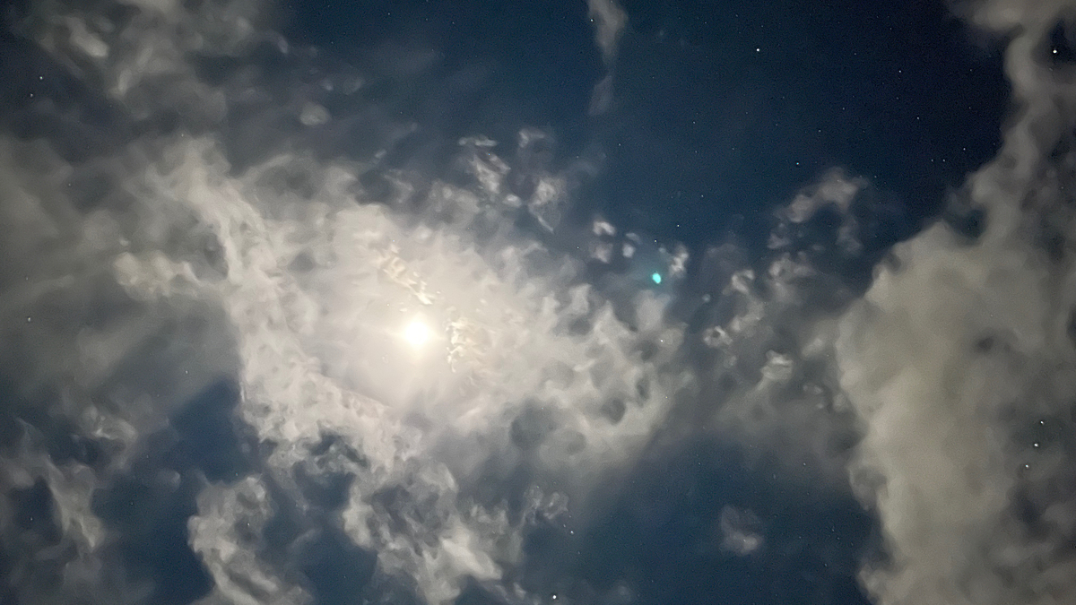 f:id:kisokoji:20211028194119j:plain:w500