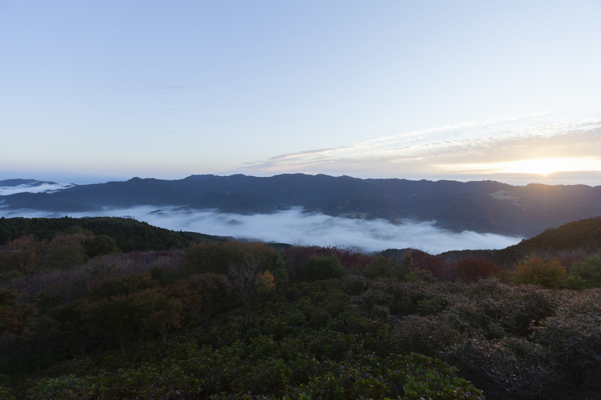 f:id:kisokoji:20211028195524j:plain:w500