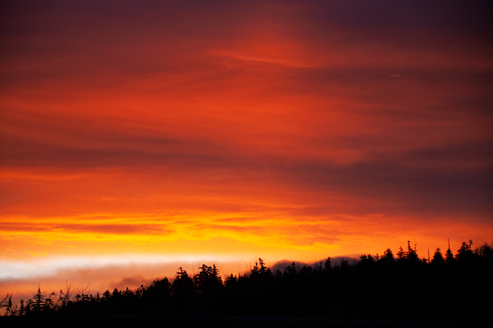 f:id:kisokoji:20211104211954p:plain:w500