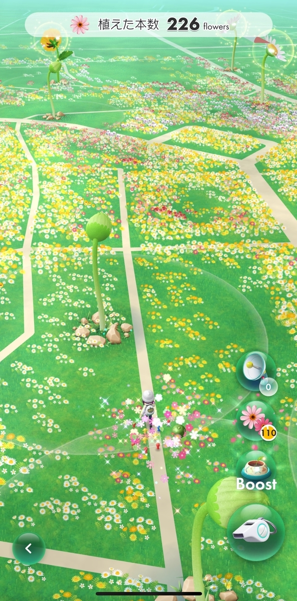 f:id:kisokoji:20211121163636j:plain:h500
