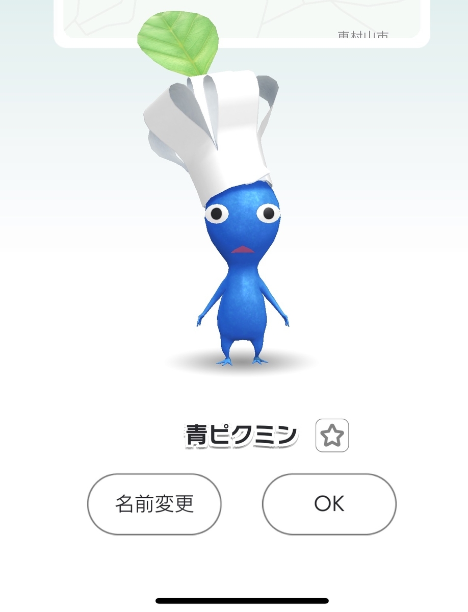 f:id:kisokoji:20211121164126j:plain:h500