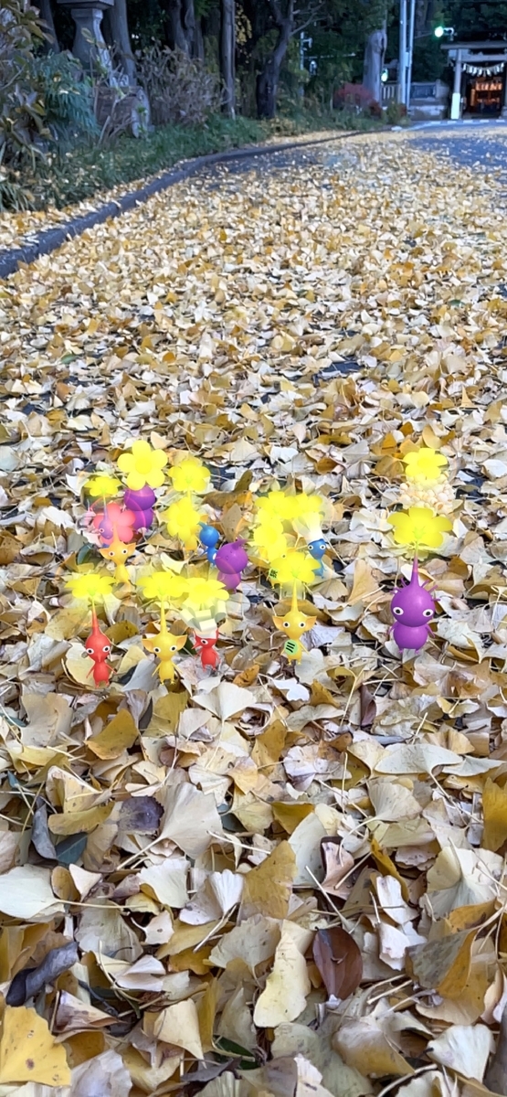 f:id:kisokoji:20211123194701j:plain:h500
