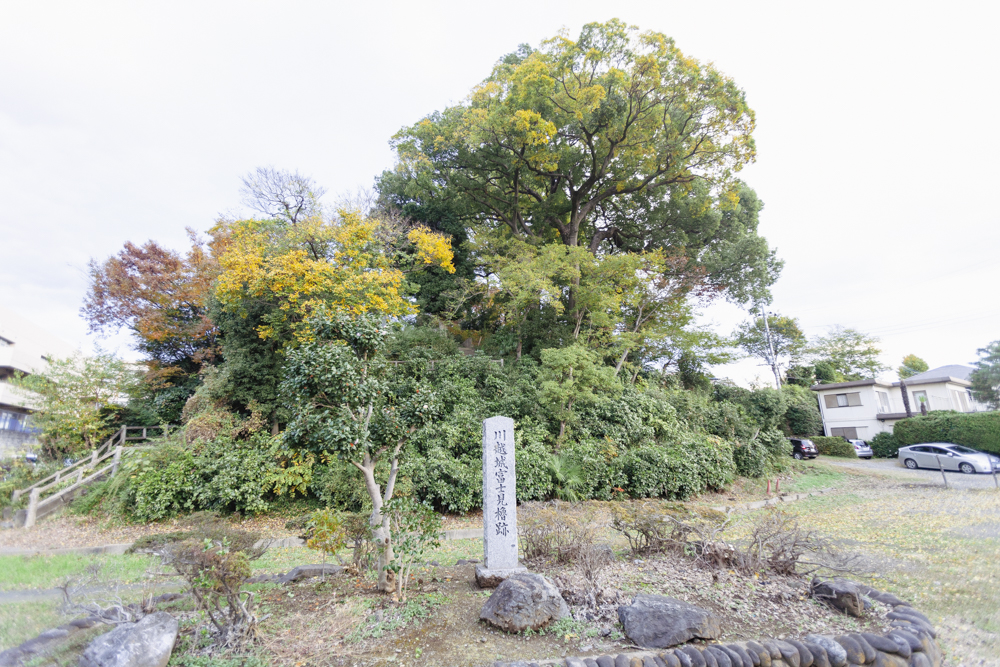 f:id:kisokoji:20211123195201j:plain:w500
