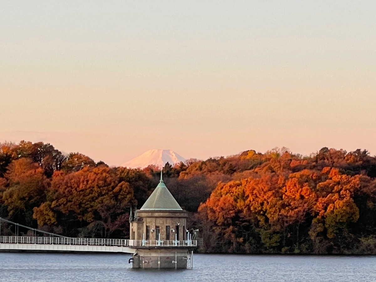 f:id:kisokoji:20211205191344j:plain:w500