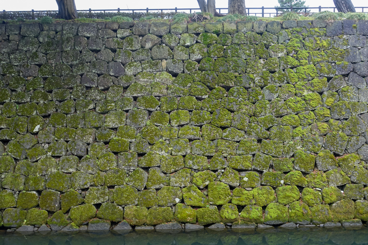 f:id:kisokoji:20211230185906j:plain