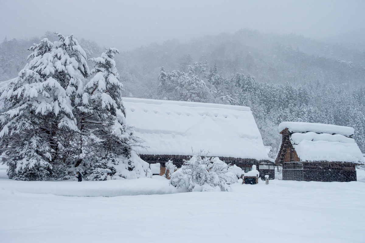 f:id:kisokoji:20211231183507j:plain