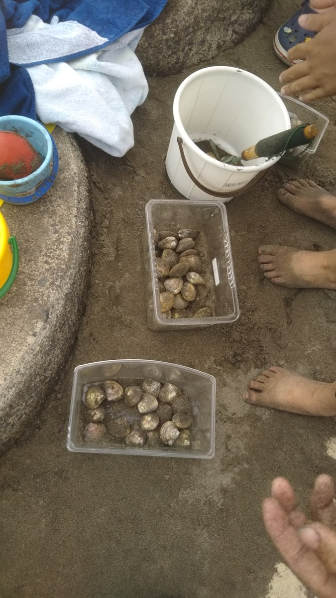 f:id:kisosanchu:20190505011255j:plain