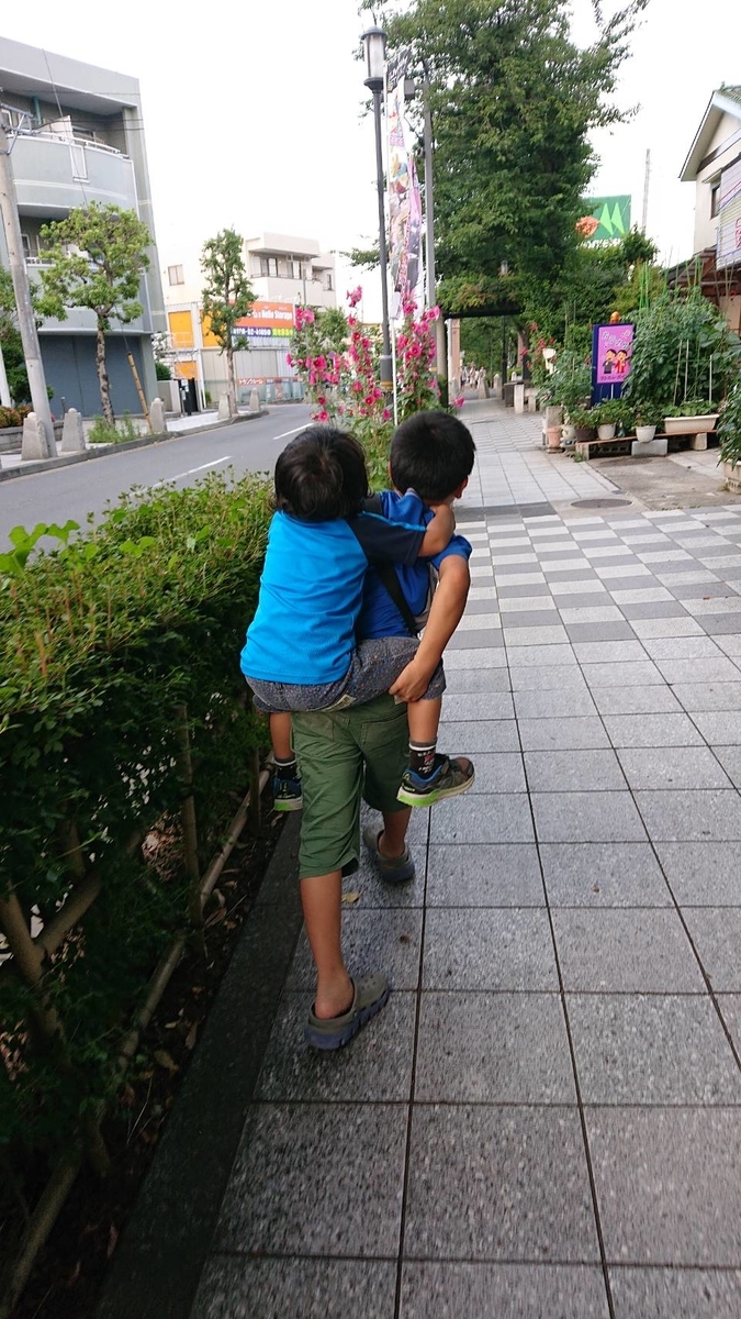 f:id:kisosanchu:20190608203408j:plain