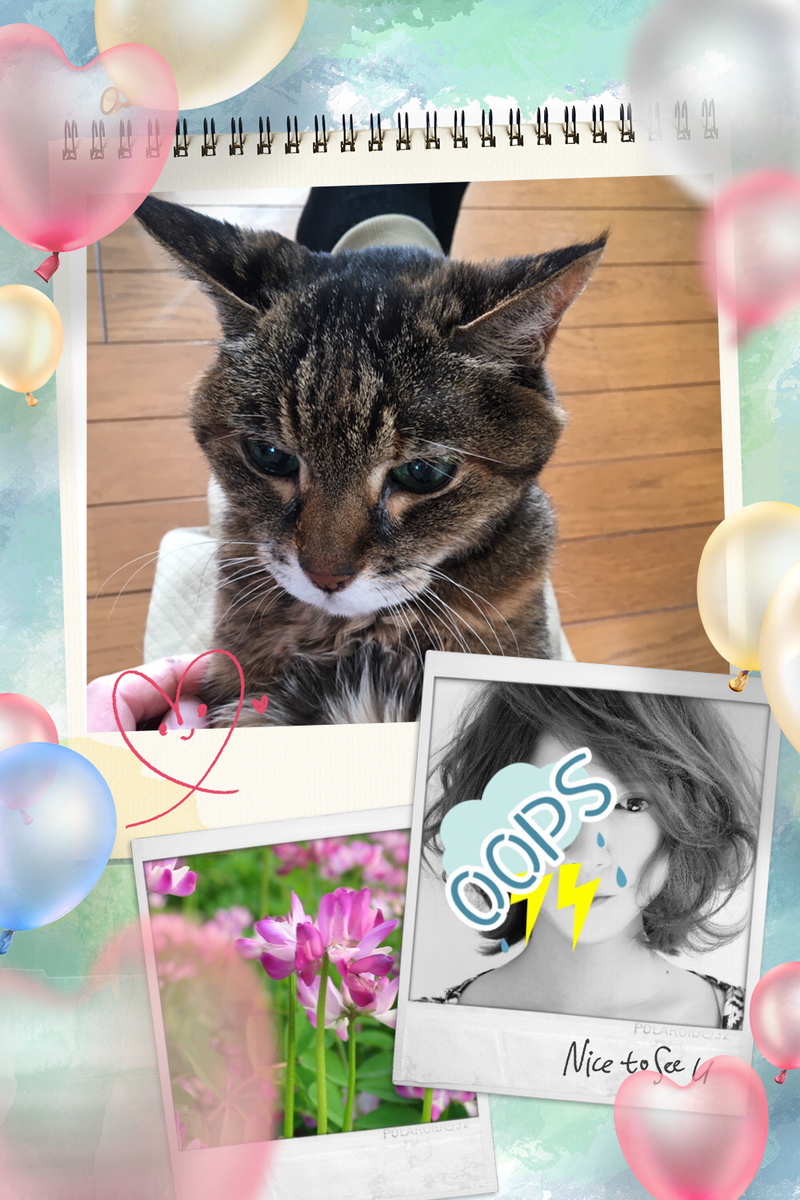 f:id:kissax:20190324151337j:plain