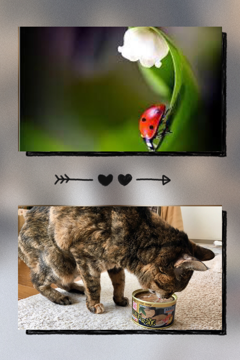 f:id:kissax:20190328082416j:plain f:id:kissax:20190328082416j:plain