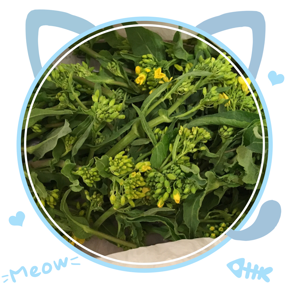 f:id:kissax:20190331152059j:plain f:id:kissax:20190331152059j:plain