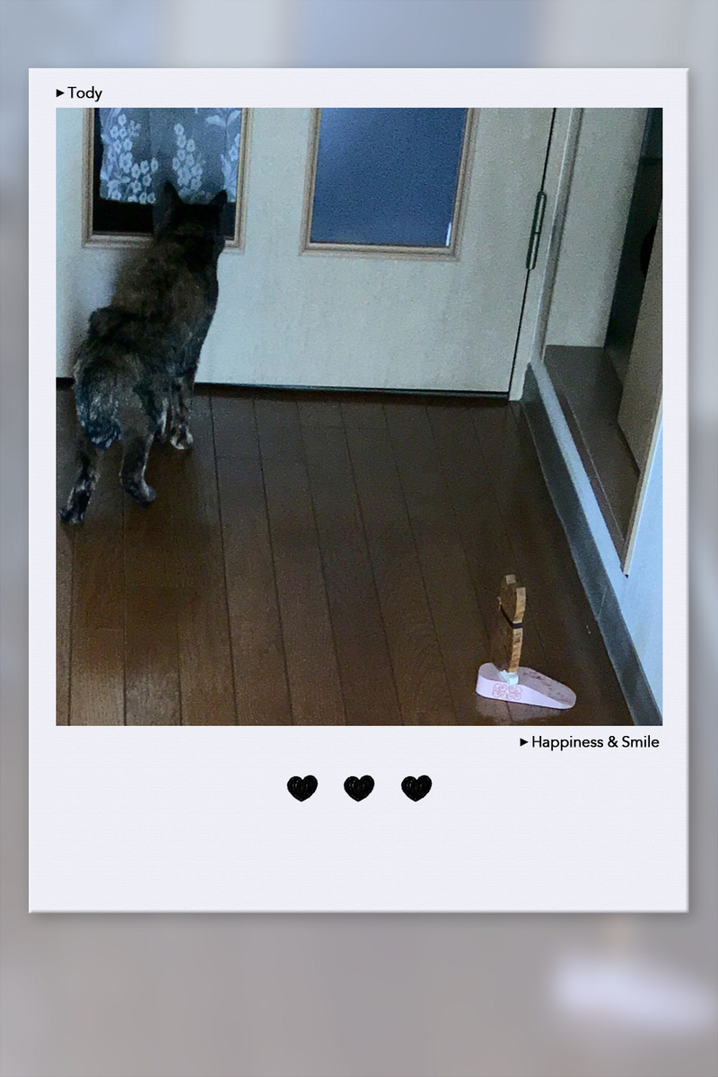 f:id:kissax:20190407155003j:plain f:id:kissax:20190407155003j:plain