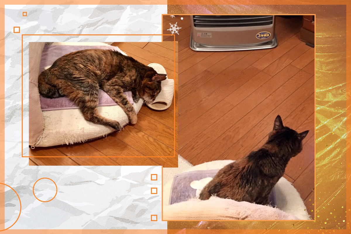 f:id:kissax:20190408160121j:plain f:id:kissax:20190408160121j:plain