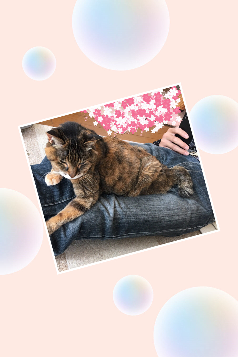 f:id:kissax:20190414165530j:plain f:id:kissax:20190414165530j:plain
