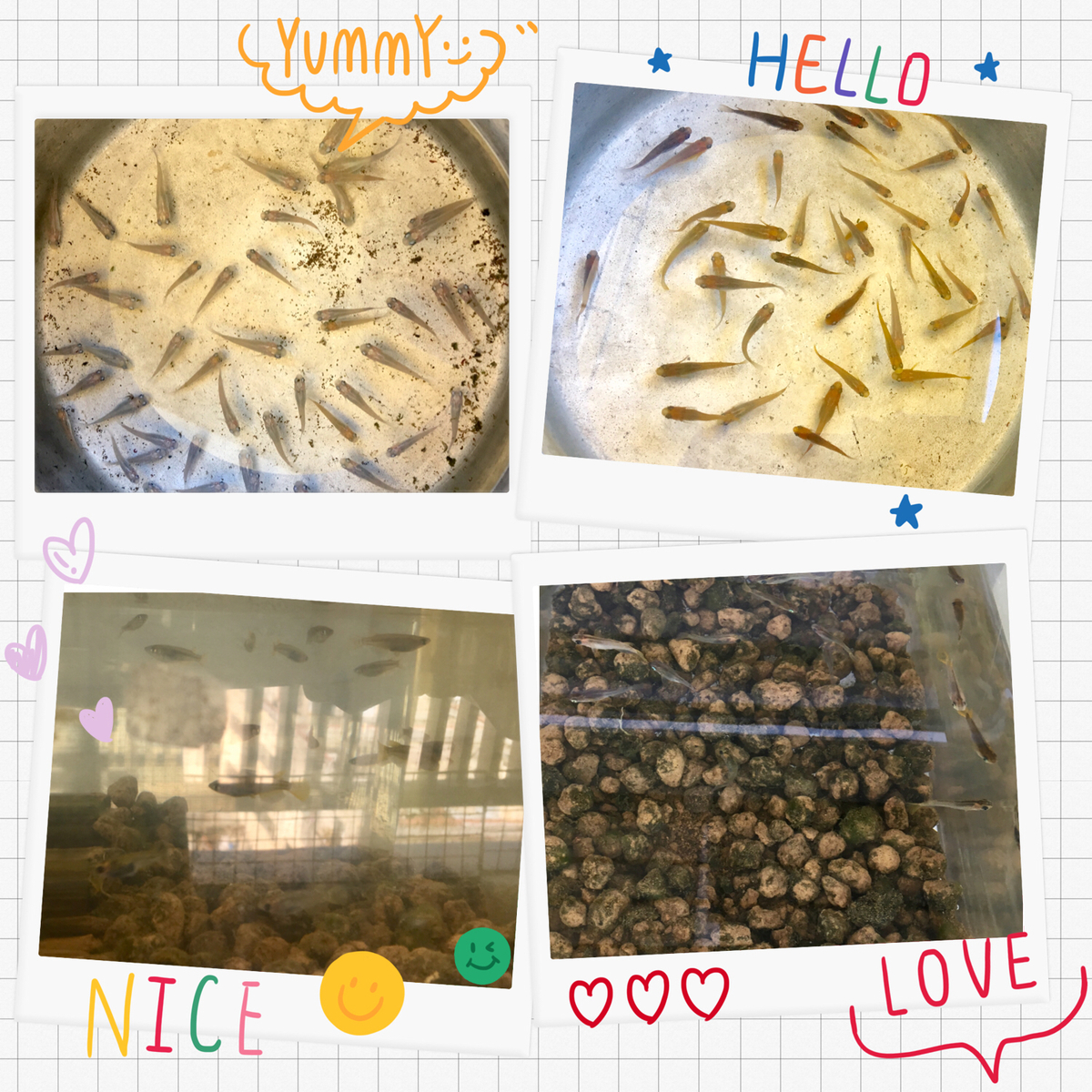 f:id:kissax:20190416165931j:plain f:id:kissax:20190416165931j:plain