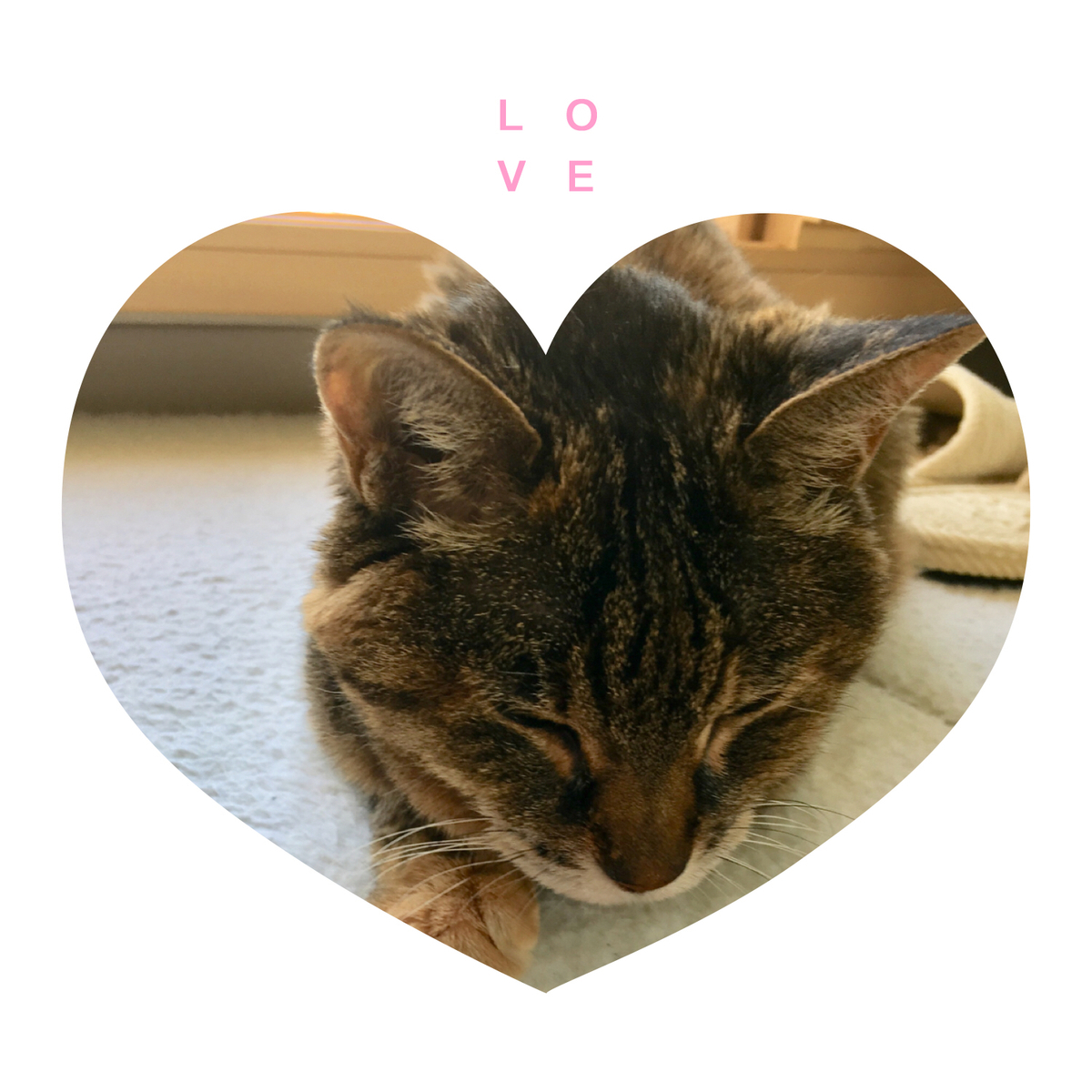f:id:kissax:20190425183051j:plain f:id:kissax:20190425183051j:plain