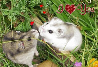 f:id:kissax:20190501062111j:plain f:id:kissax:20190501062111j:plain