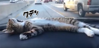 f:id:kissax:20190510155755j:plain