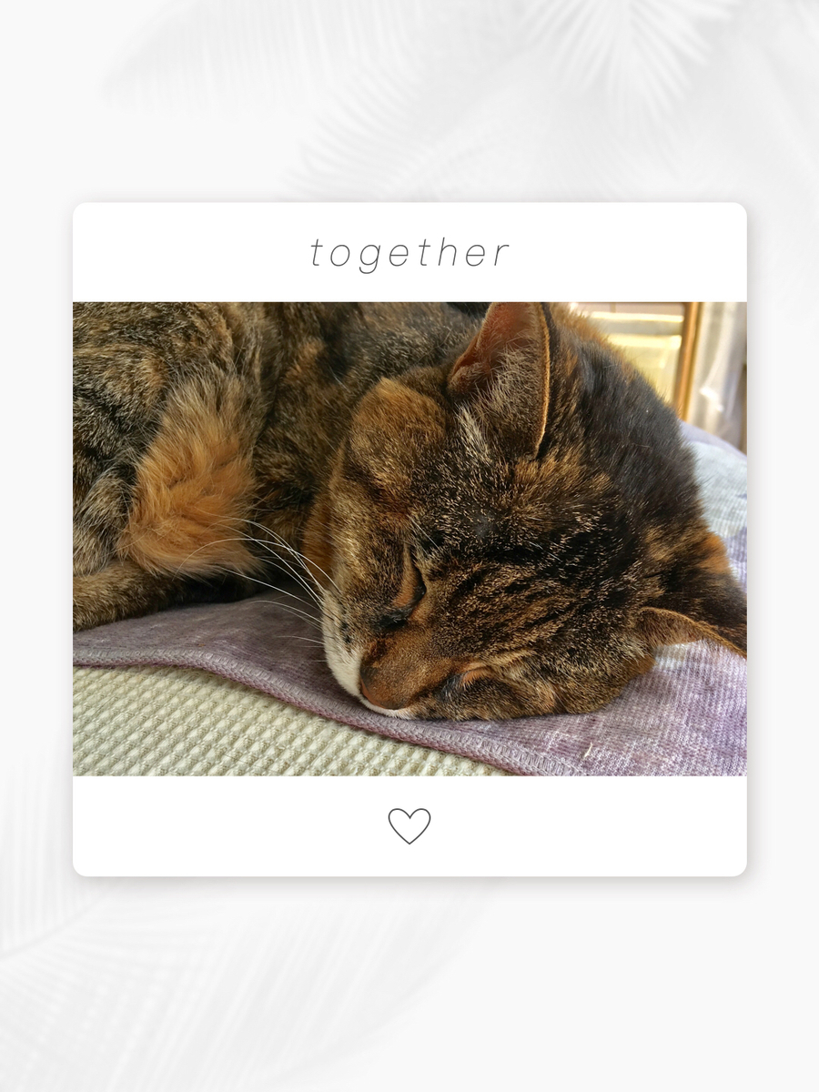 f:id:kissax:20190513180653j:plain f:id:kissax:20190513180653j:plain