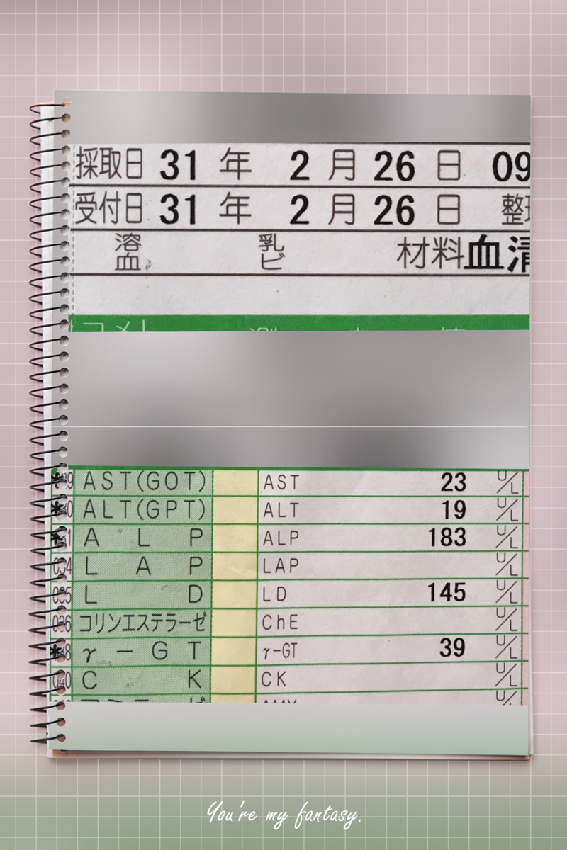 f:id:kissax:20190515183801j:plain f:id:kissax:20190515183801j:plain