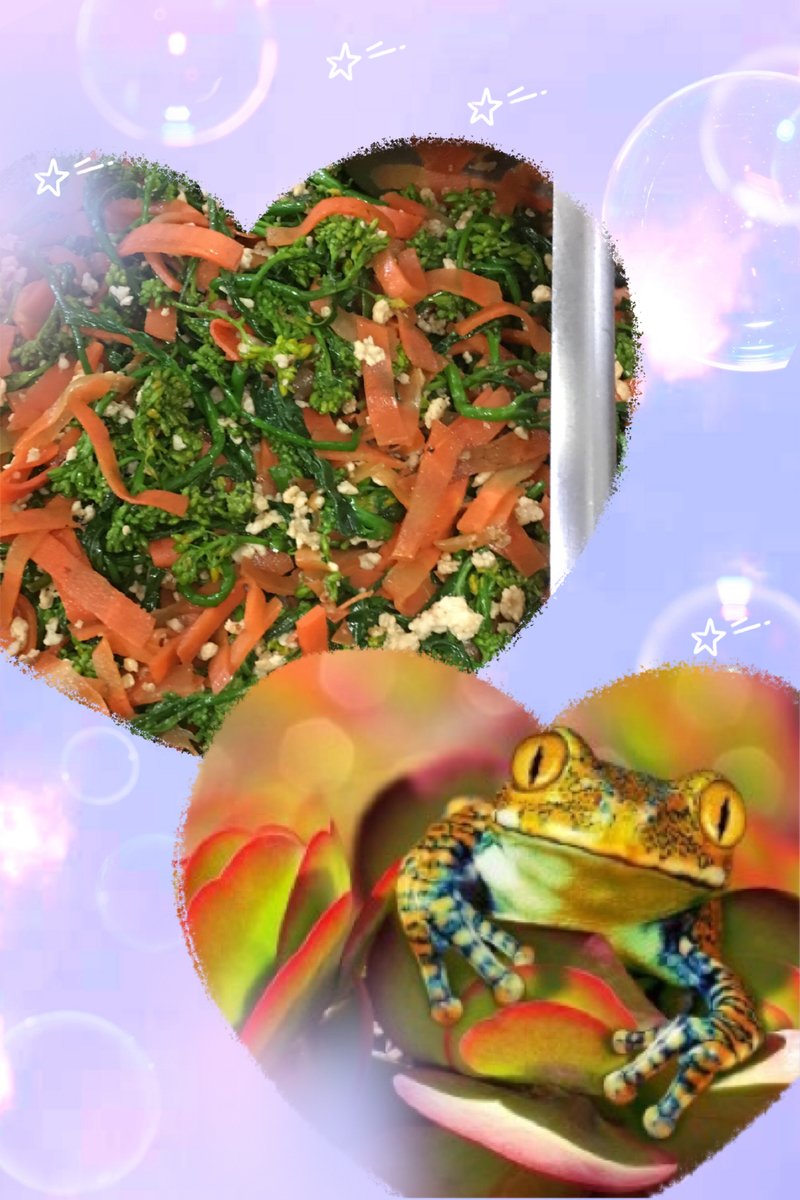 f:id:kissax:20190519162059j:plain f:id:kissax:20190519162059j:plain
