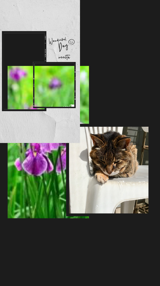 f:id:kissax:20190519162226j:plain f:id:kissax:20190519162226j:plain