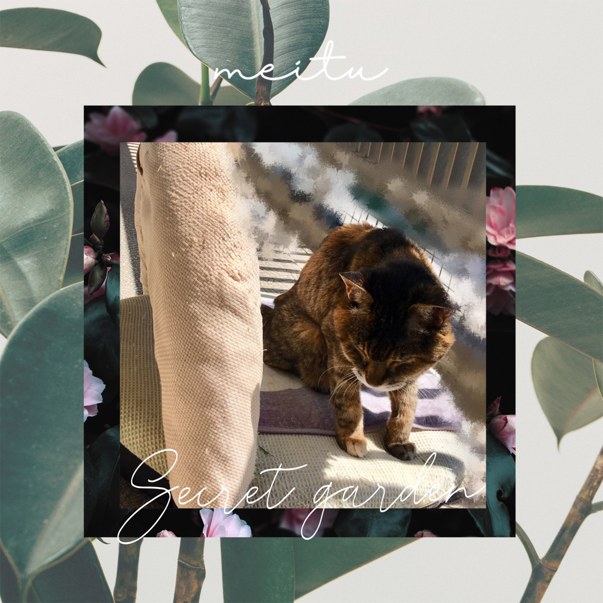 f:id:kissax:20190524173729j:plain f:id:kissax:20190524173729j:plain