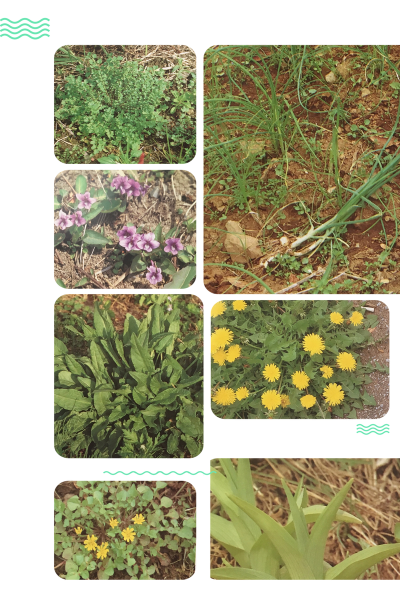 f:id:kissax:20190528160636j:plain f:id:kissax:20190528160636j:plain