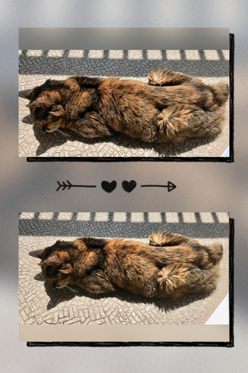 f:id:kissax:20190603181529j:plain f:id:kissax:20190603181529j:plain