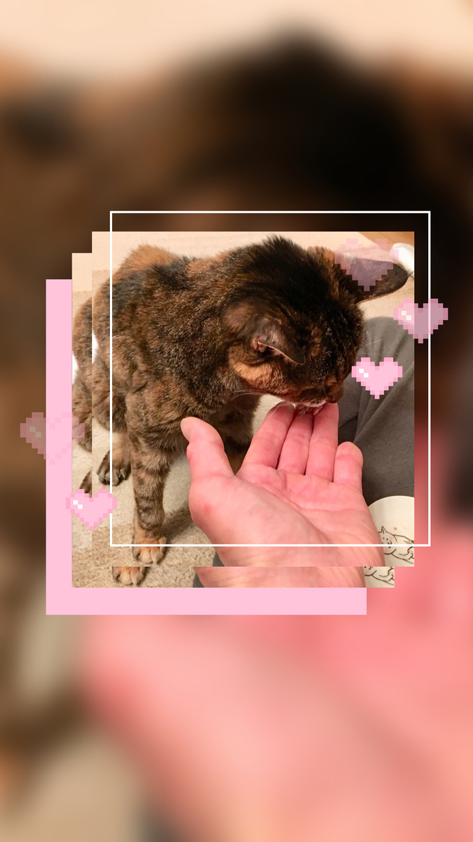 f:id:kissax:20190604175706j:plain f:id:kissax:20190604175706j:plain