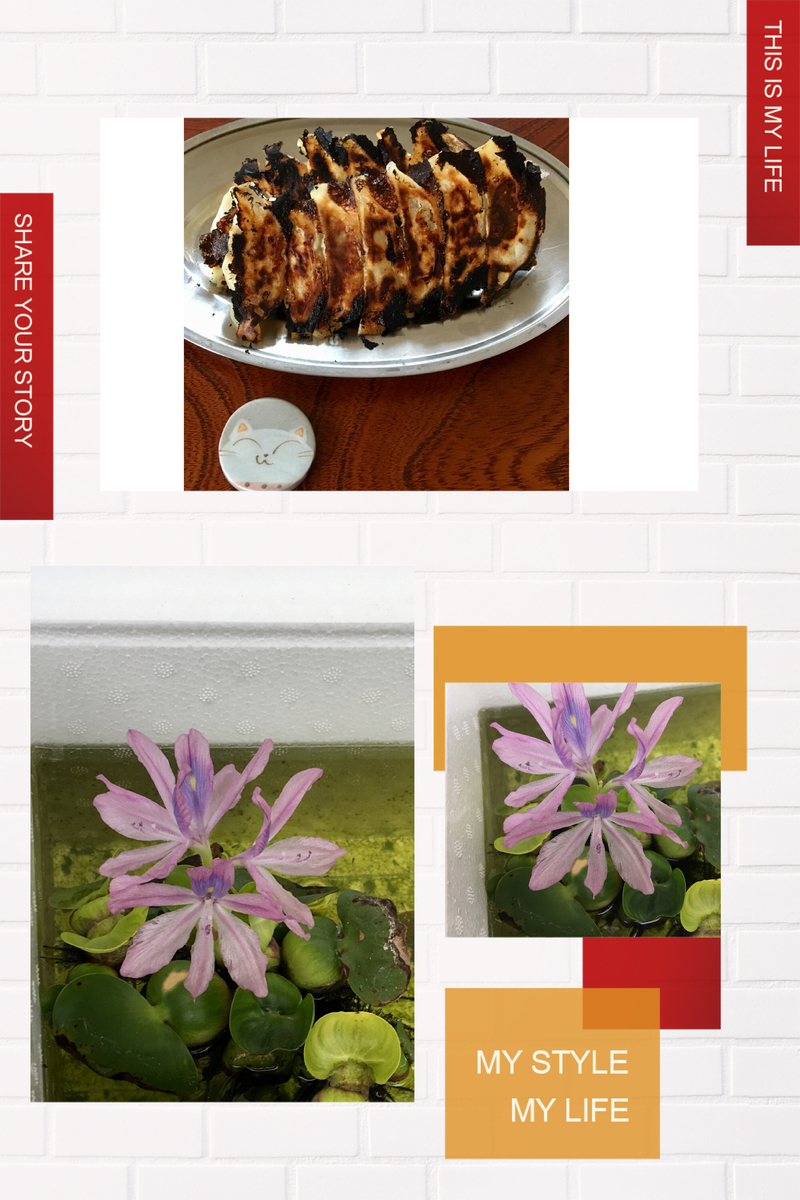 f:id:kissax:20190610174429j:plain f:id:kissax:20190610174429j:plain