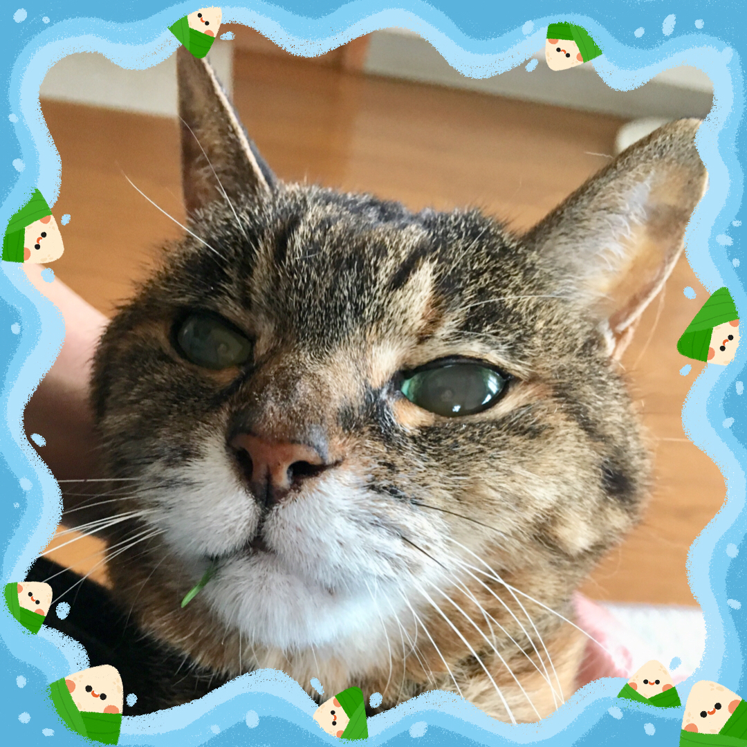 f:id:kissax:20190610174608j:plain f:id:kissax:20190610174608j:plain