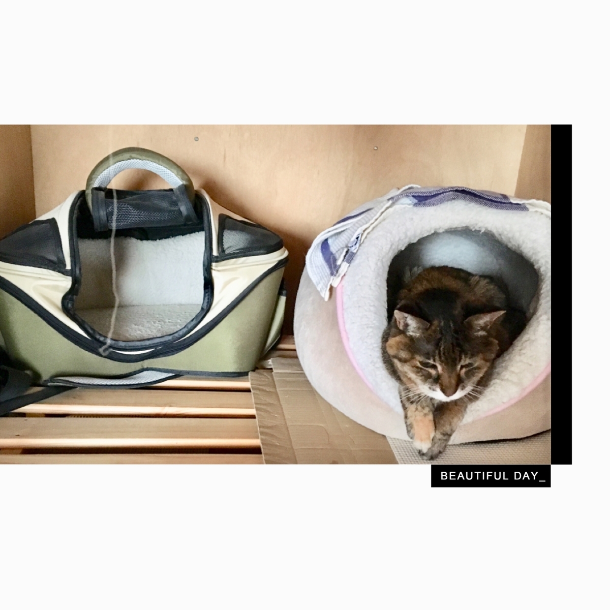 f:id:kissax:20190614182111j:plain