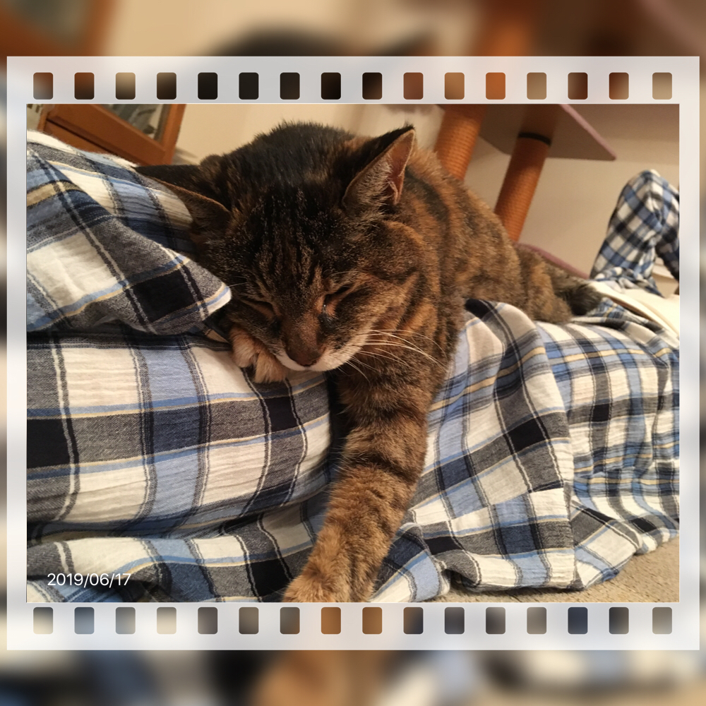 f:id:kissax:20190618163534j:plain