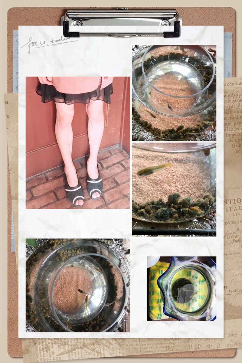 f:id:kissax:20190620161523j:plain