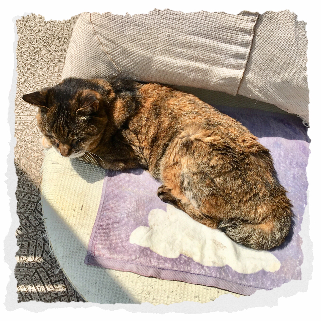 f:id:kissax:20190622163957j:plain