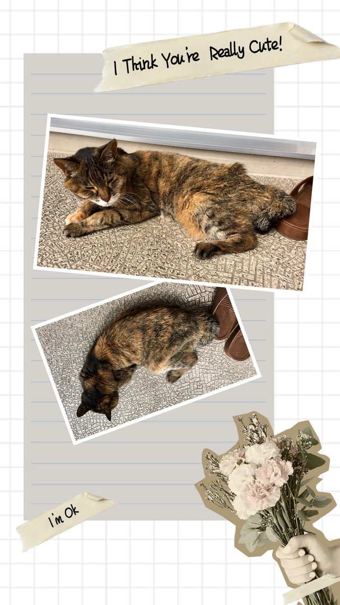 f:id:kissax:20190624154228j:plain