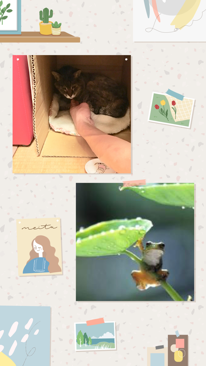 f:id:kissax:20190626155448j:plain f:id:kissax:20190626155448j:plain